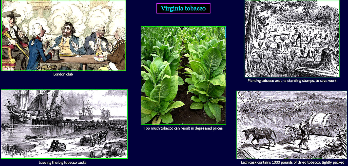 Boom and Bust, Virginia tobacco, 1700